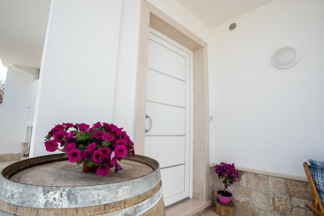 Villa Fenix Torre Lapillo Zewnętrze zdjęcie
